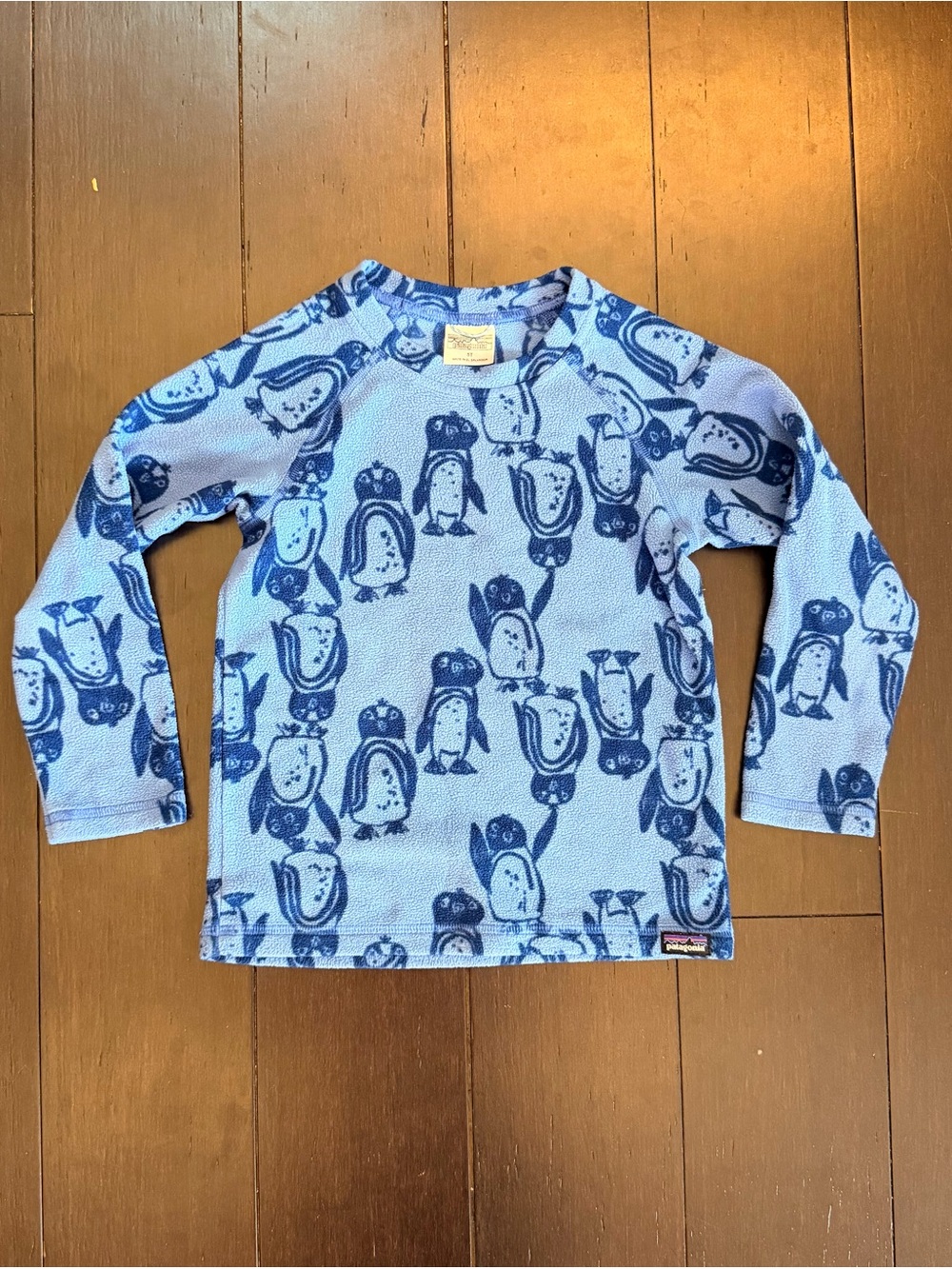 Patagonia Baby Kids Micro D Crew